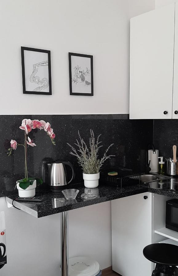 Lion Apartments - Laba Krakow Bagian luar foto